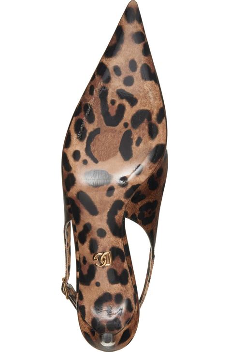 Dolce&Gabbana Lollo Leopard Print Pointed Toe 